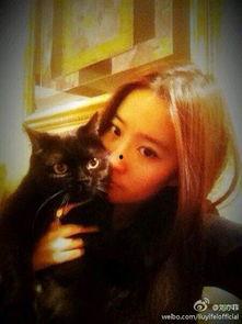 娱乐圈爆料猫不理,猫不理背后的惊人真相！  第1张